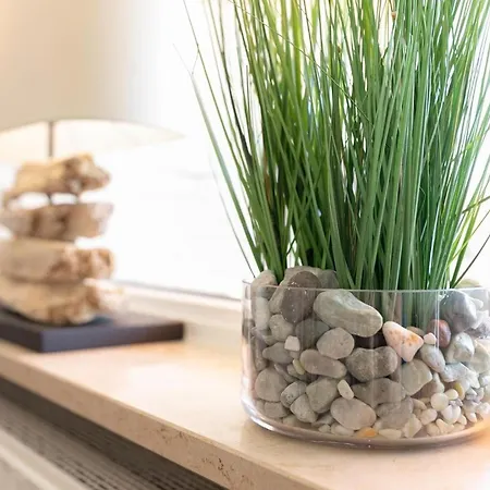 Sonnenblick Διαμέρισμα